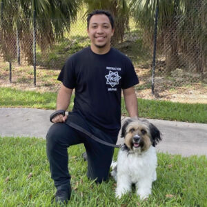Training Adult Dogs