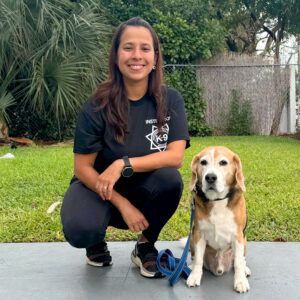 Basic Obedience Dog Training