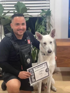 Advanced Dog Protection Training