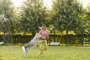 dog training in florida