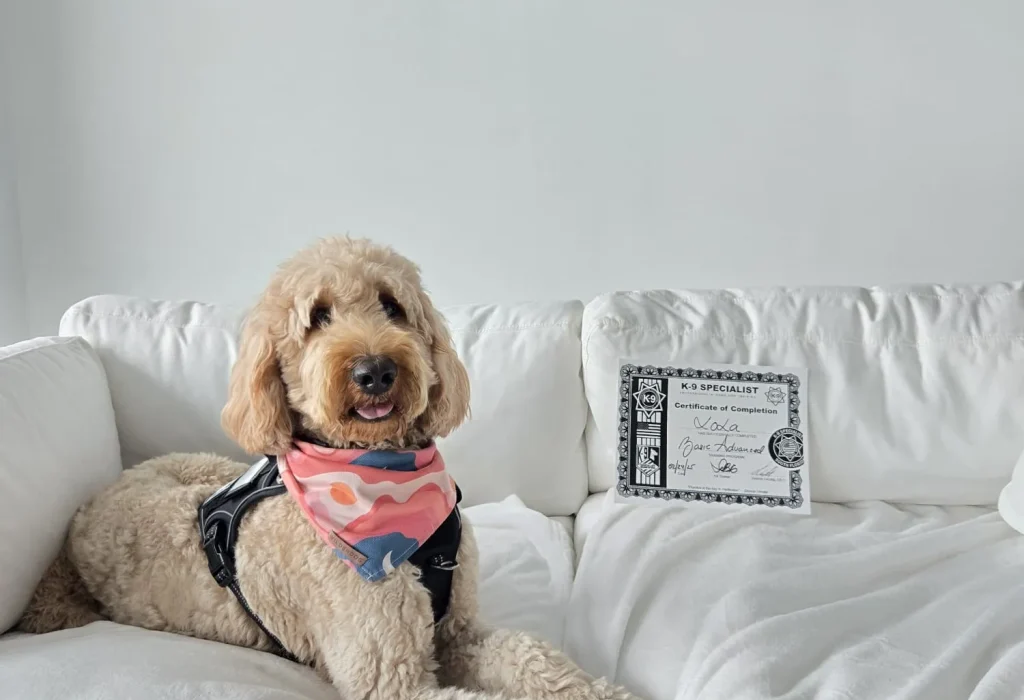 puppy training